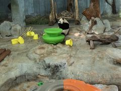 -海南热带野生动植物园