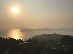 -猫咪博物馆(顶澳仔猫街店)