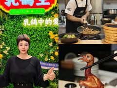 -朱记乳鸽王·非遗石岐乳鸽·全鸽宴(大兴旗舰店)