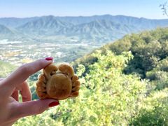 -北京鹫峰国家森林公园