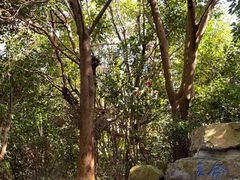 -腾冲洞山温泉村