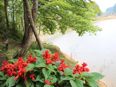-千岛湖龙川湾