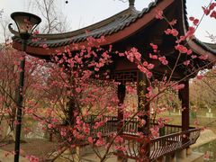 -堤角公园