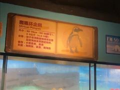 -海合安武汉极地海洋公园