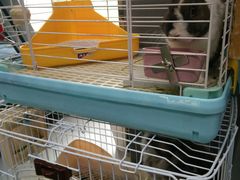 -UltraForce超源健身私教工作室(长楹天街精品店)