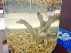 -巧婆婆特色东北菜·铁锅炖