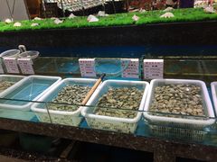 -宝燕壹号(徐汇店)