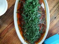 -老字号怡玺·藿香雅鱼(20年雅安店)