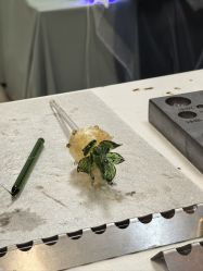 -烬·烧玻璃diy灯工玻璃艺术·银饰工作室