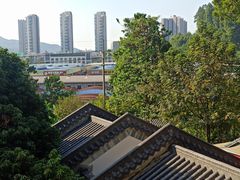 -广州神农草堂中医药博物馆