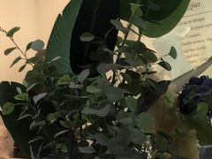 -党公糖水铺(鹭江店)