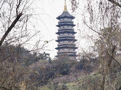 -重庆园博园