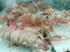 -班赞海鲜市场