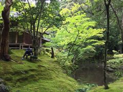 -西芳寺(苔寺)