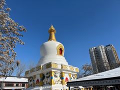 -护国法轮寺