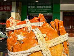 -阳澄湖大闸蟹·琼灵阁牌品牌连锁(吴中总店)