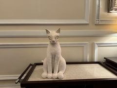 -Salon de Ville浦江汇(上海外滩华尔道夫酒店店)