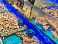 -SEA西雅图海鲜自助餐厅(海乐世界店)