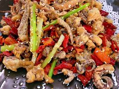 干煸鱿鱼须-普天和酒楼(天津之眼店)