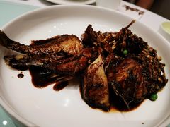 -新吉士·上海菜(浦东LCM置汇旭辉店)