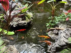 -广州白天鹅宾馆