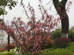 picture-天目湖涵田度假村