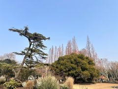 -中山公园