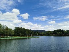 -尚湖风景区