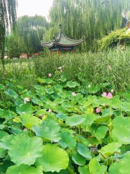 -宝馨月月子中心(友谊医院店)