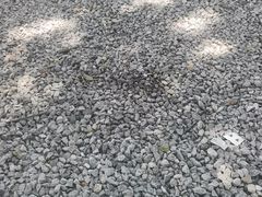 -青龙山国家森林公园