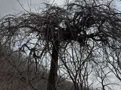 -丹东市五龙山风景区