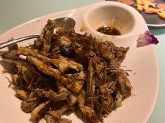 剔骨肉拌茄子-隆喜元鱼汤包·海鲜(中联广场店)