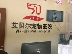 -艾贝尔宠物医院 ·内科全科(梁溪路店)