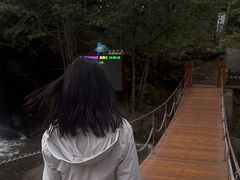 -汤旺河林海奇石景区