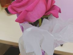-范饭椰林川湘味海鲜·椰子鸡(三亚湾椰梦长廊店)