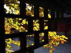 -石岛赤山风景区
