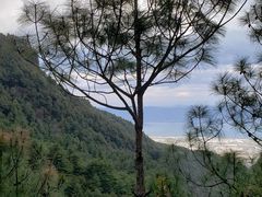 -苍山感通索道