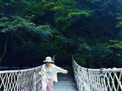 -陕西省红河谷森林公园