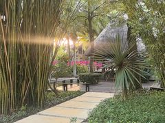 -三亚湾海居铂尔曼度假酒店