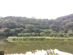 -南国桃园旅游度假区