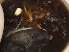 -太婆天府山珍酒楼(亚运村店)