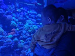 -太平洋海底世界