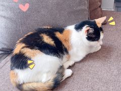 -转山咖啡(松柏社区店)