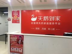 -天鹅到家·保姆月嫂育儿嫂(龙华店)