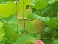 -苏州环秀晓筑养生度假村