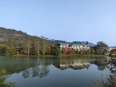 -广州市流溪河国家森林公园