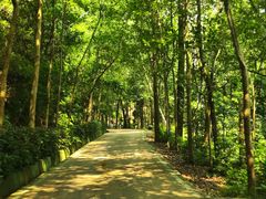 -东莞市大岭山森林公园