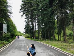 -硗碛藏寨·神木垒景区