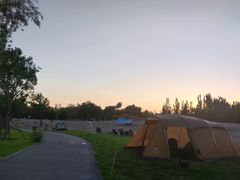 -东郊湿地公园