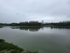 -滨湖塘西河公园